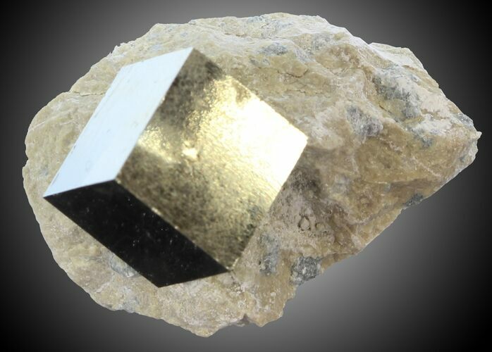 Pyrite Cube on Matrix - Navajun, Spain #30971